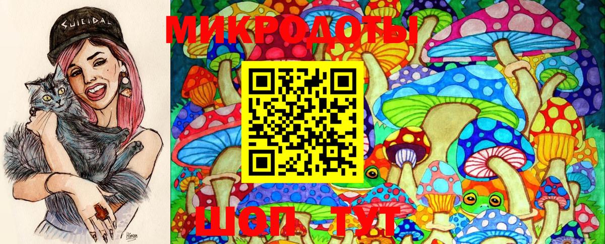 Галлюциногенные грибы Cubensis Химки
