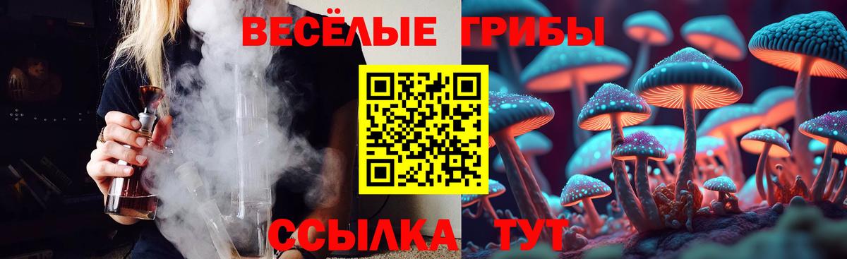 Галлюциногенные грибы Cubensis  Вход с VPN  Химки 